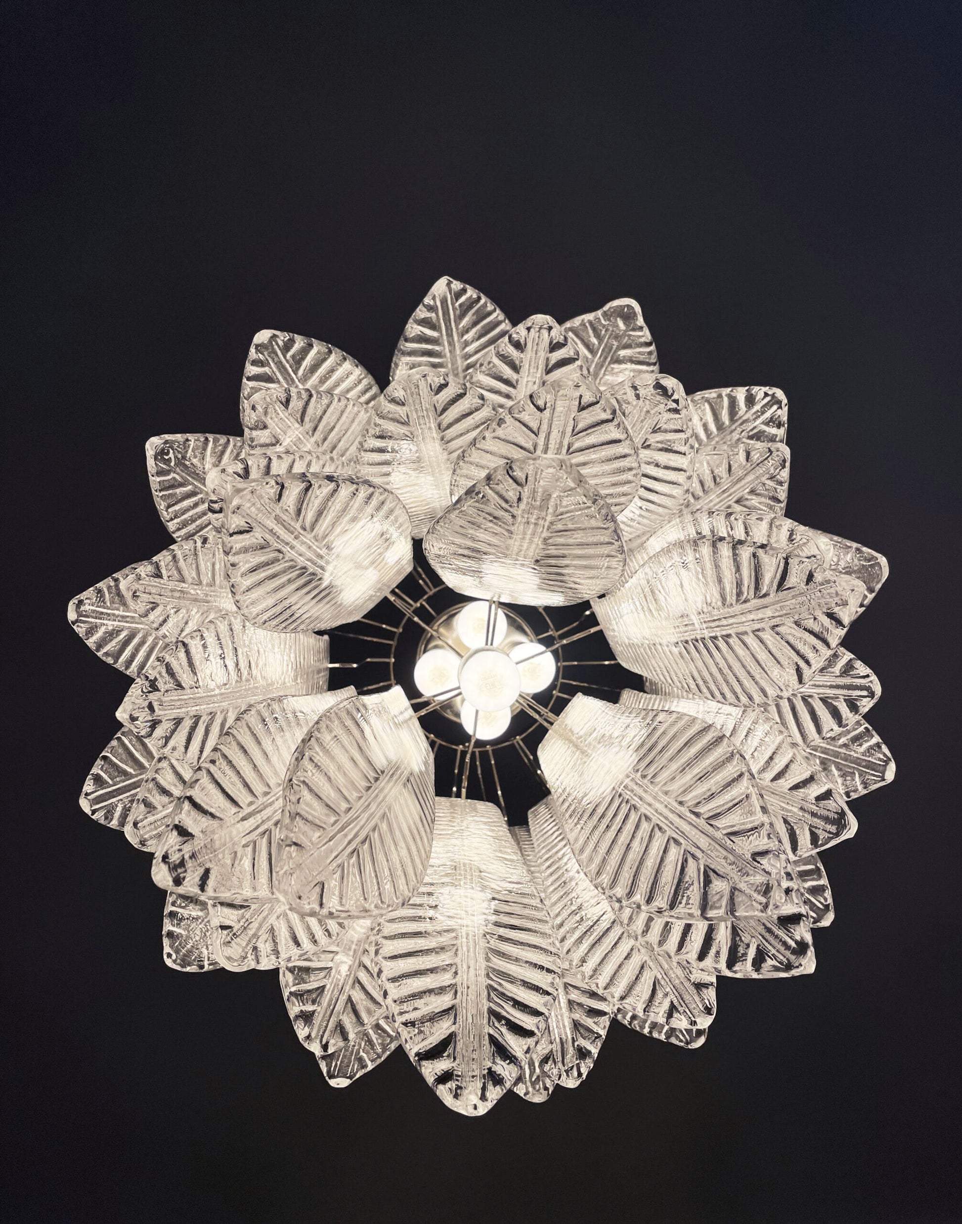 Murano Lysekrone | 41 Klare Felciglass