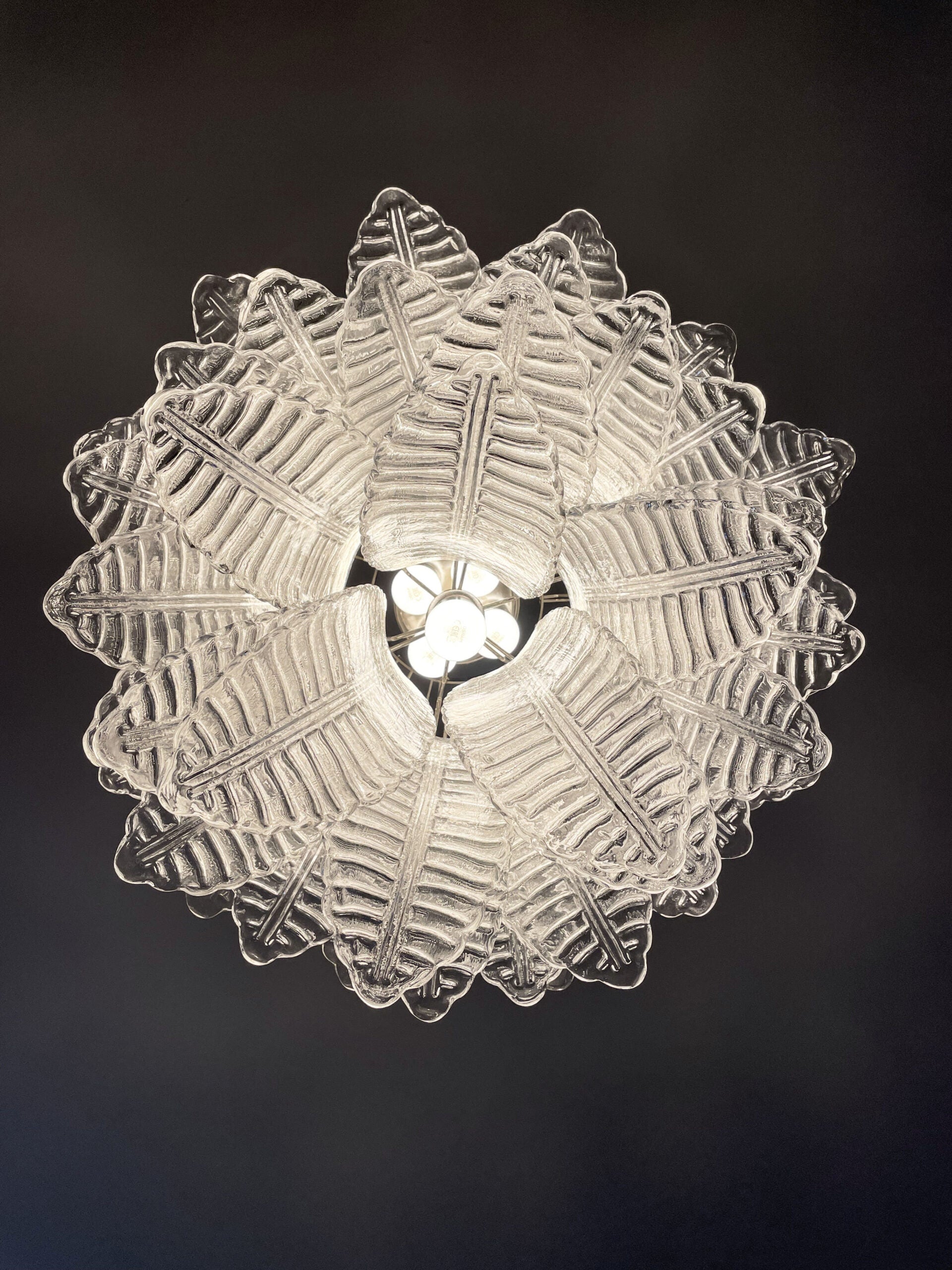 Murano Chandelier – 41 Clear Felci Glass – detail 1 – Murano Classics