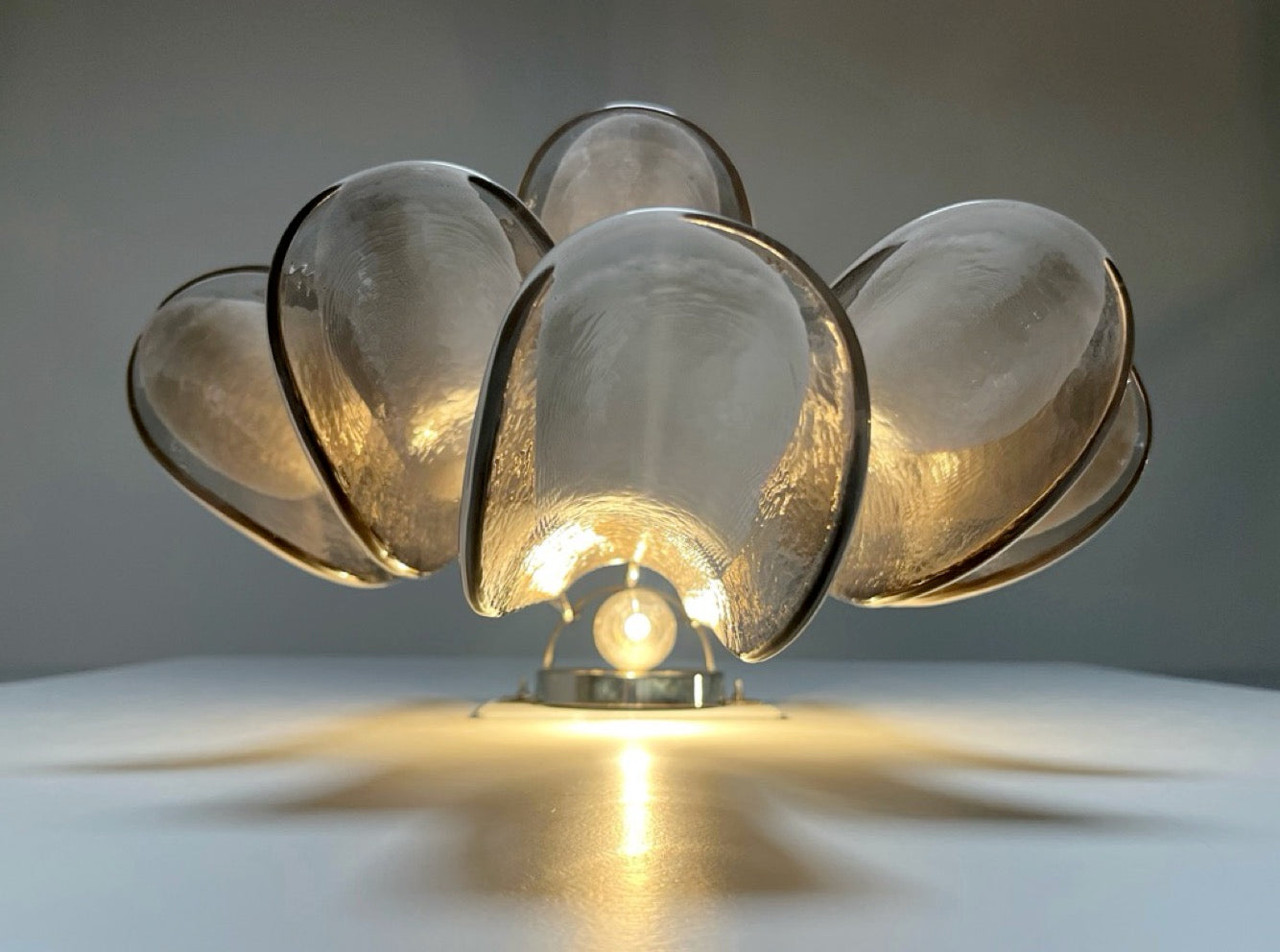 Pair of Vintage Italian Murano wall lights  – smoked glass petals