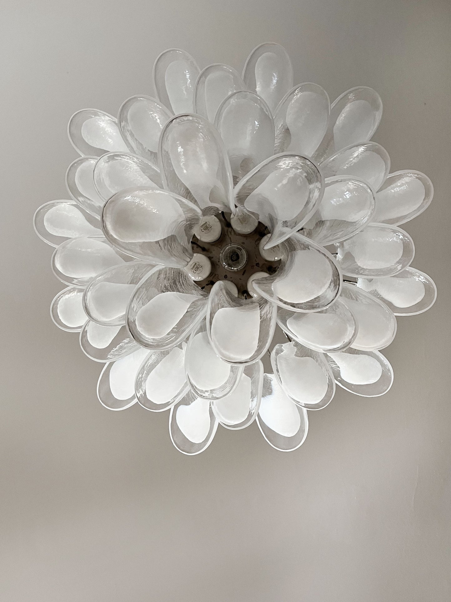 Murano Chandelier | 36 Clear cone leaf glasses